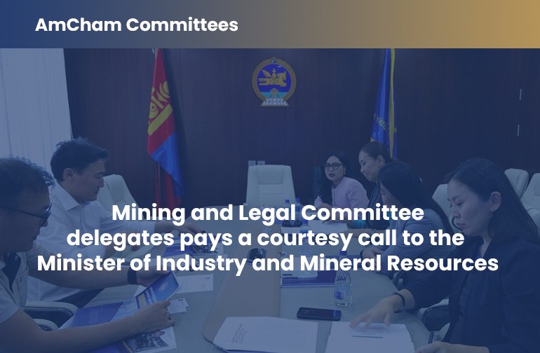 Mining and Legal Committee delegates pays a courtesy call to the  Minister of Industry and Mineral Resources