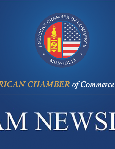 AmCham's January Newsletter